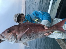 マダイ　大鯛浮上！！